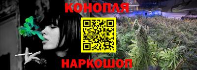 крисы Волжский